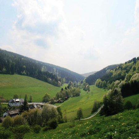 Large Holiday Home In Willingen With Private Garden And Several Terraces 外观 照片