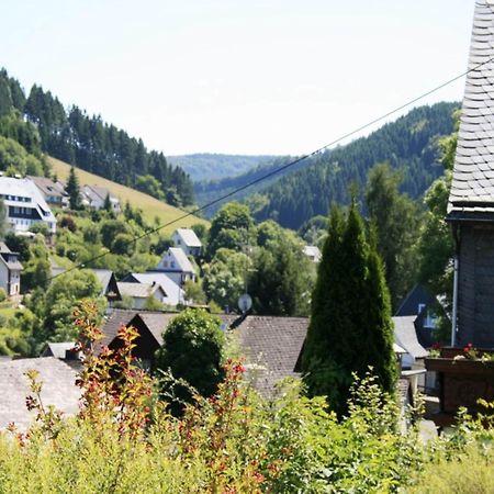 Large Holiday Home In Willingen With Private Garden And Several Terraces 外观 照片