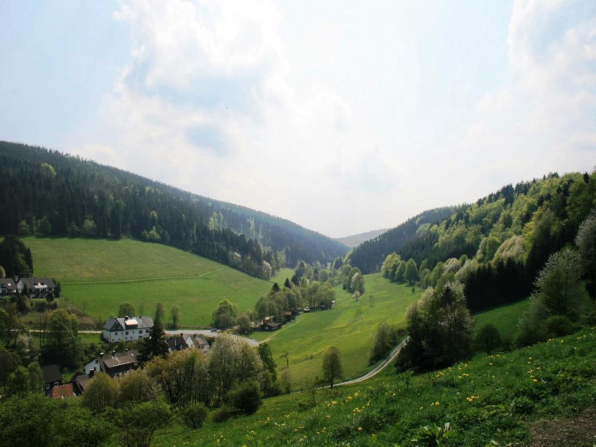 Large Holiday Home In Willingen With Private Garden And Several Terraces 外观 照片