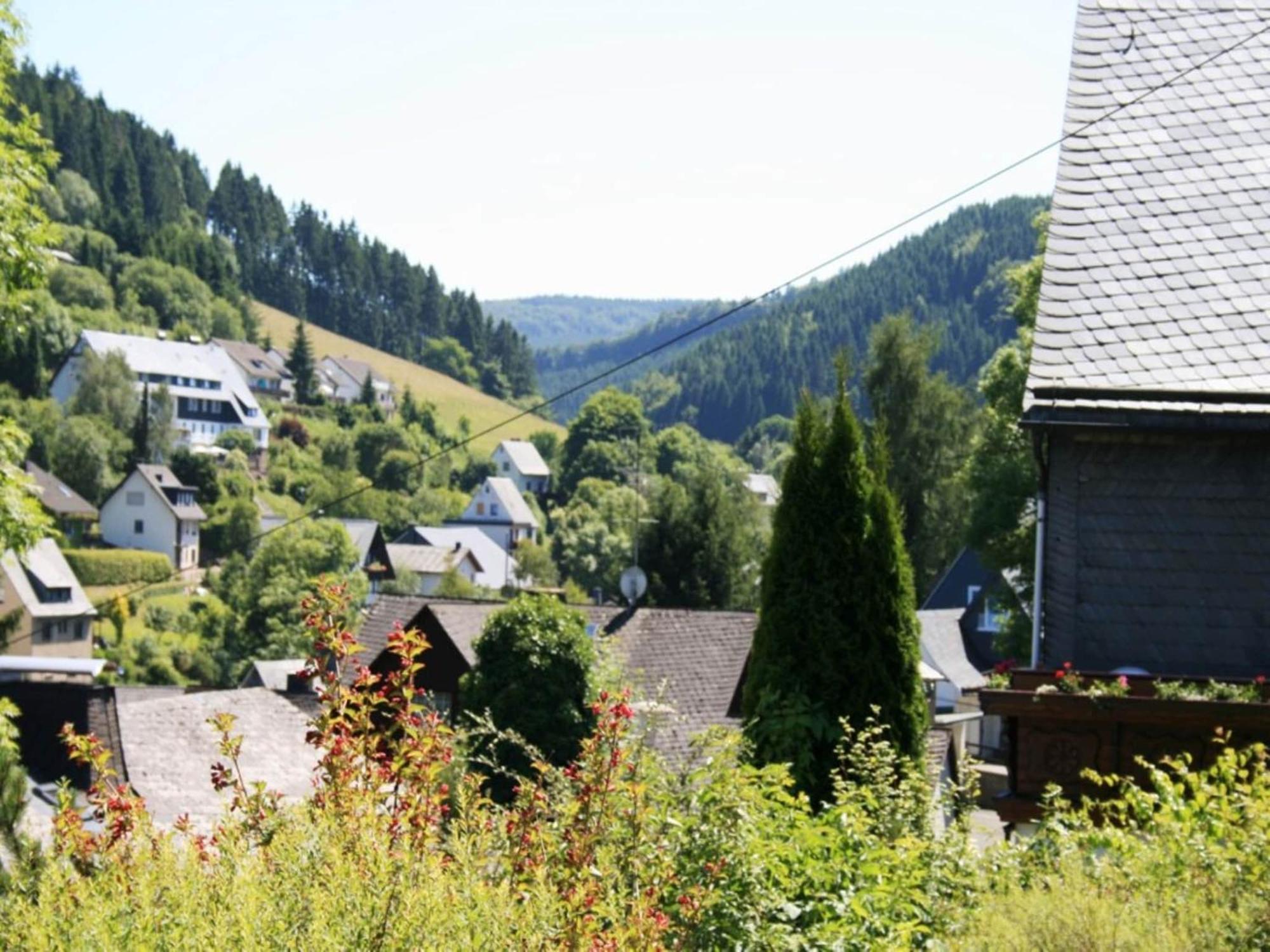 Large Holiday Home In Willingen With Private Garden And Several Terraces 外观 照片