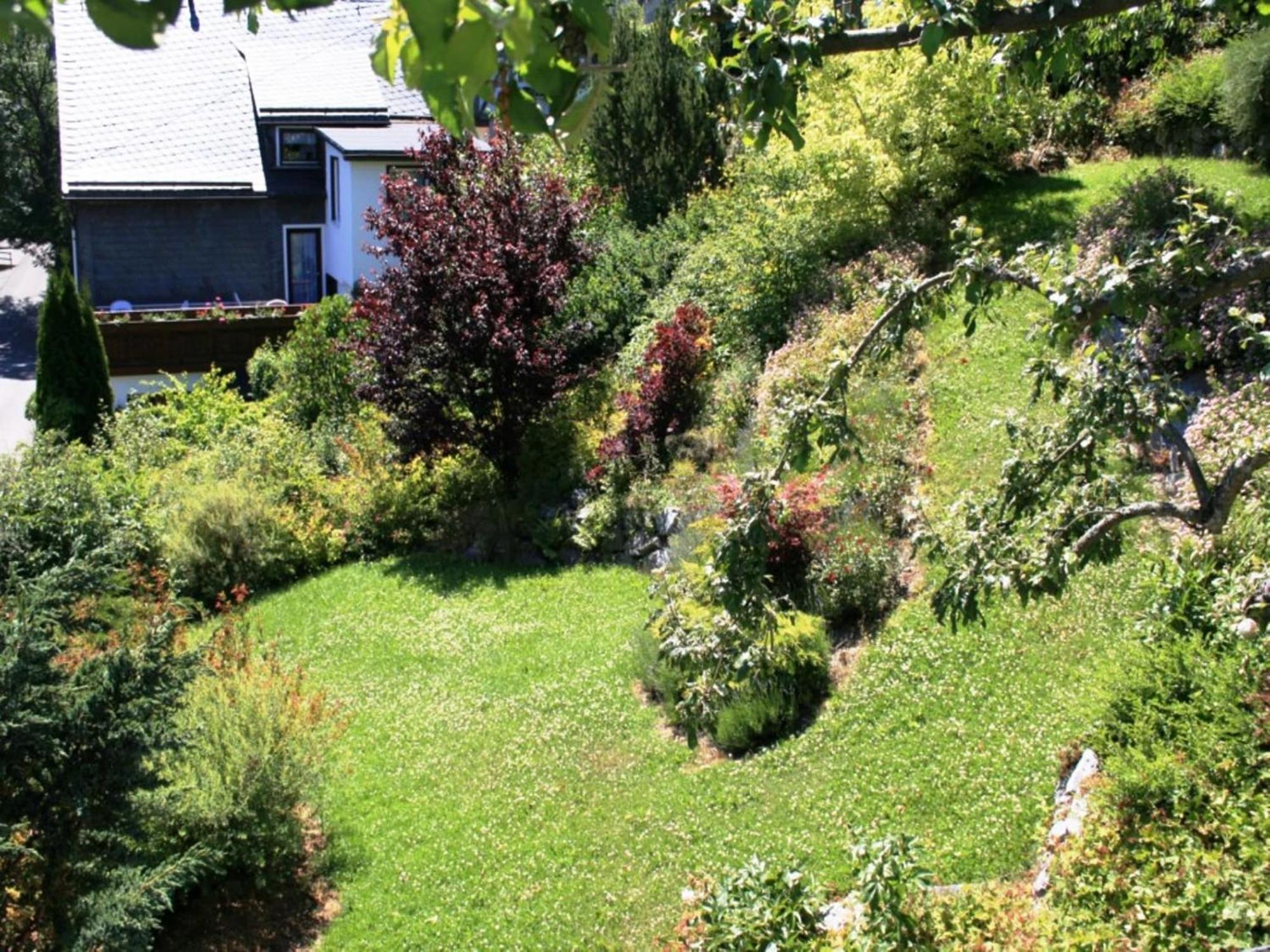 Large Holiday Home In Willingen With Private Garden And Several Terraces 外观 照片