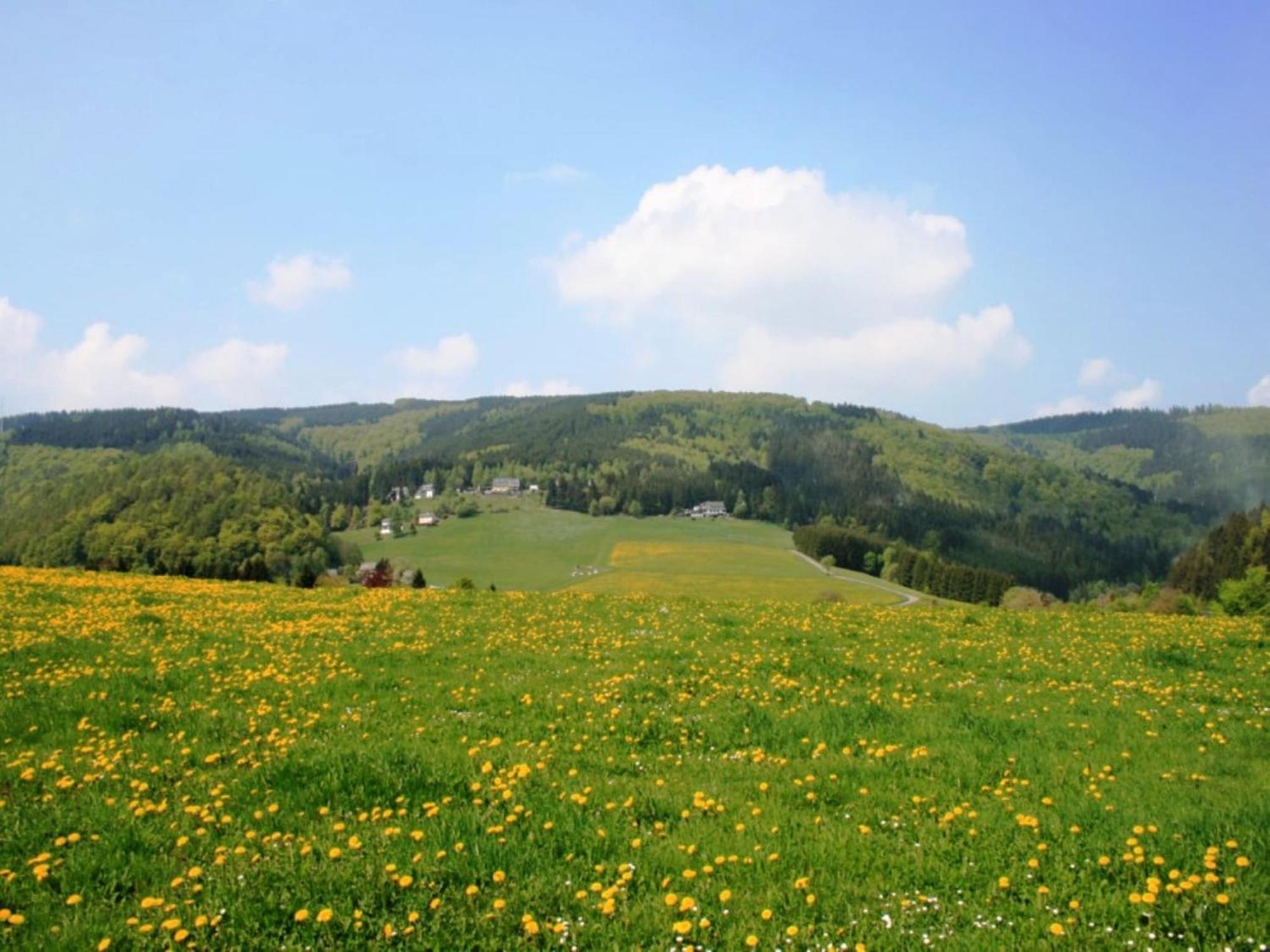 Large Holiday Home In Willingen With Private Garden And Several Terraces 外观 照片