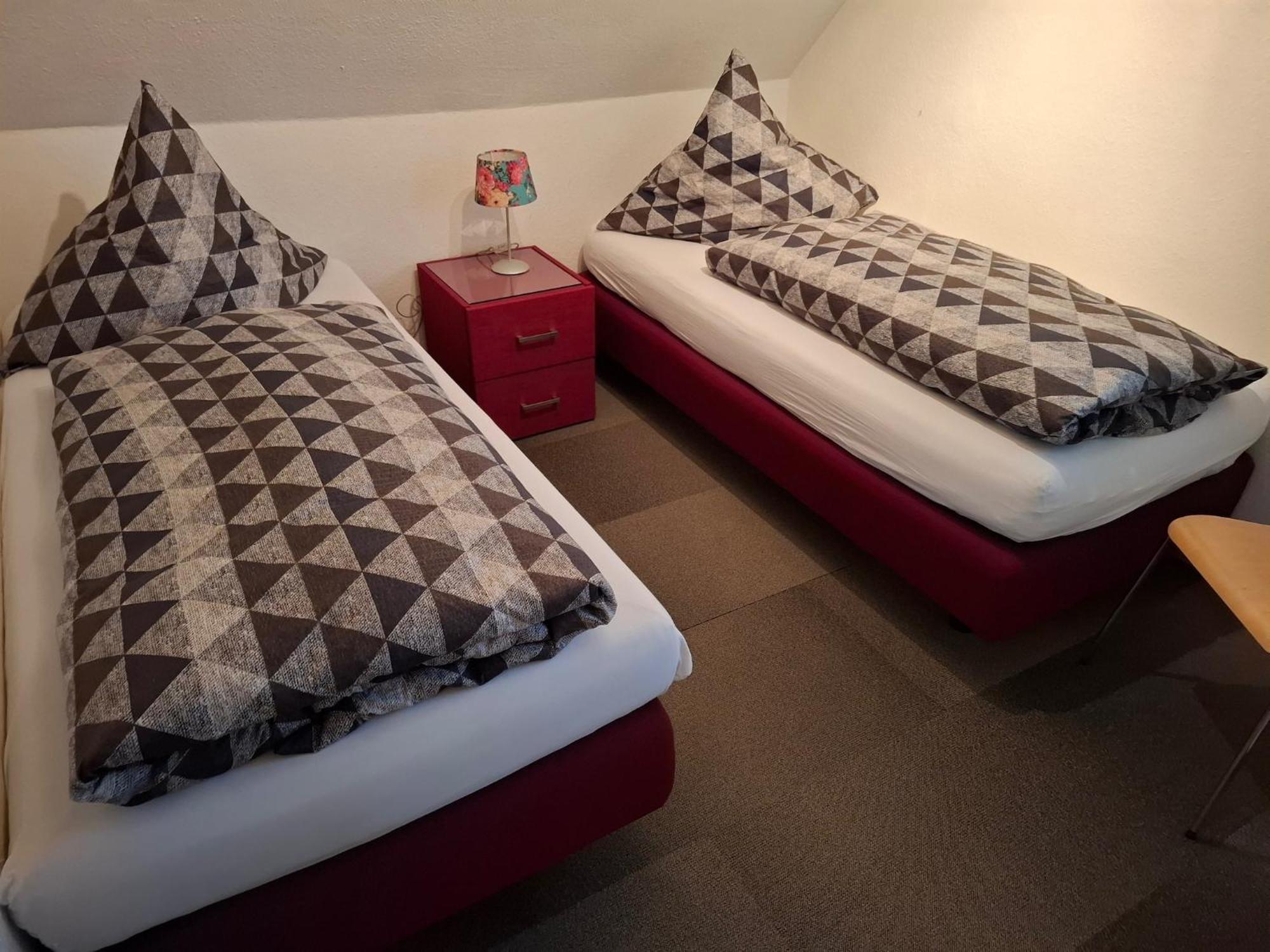 Large Holiday Home In Willingen With Private Garden And Several Terraces 外观 照片