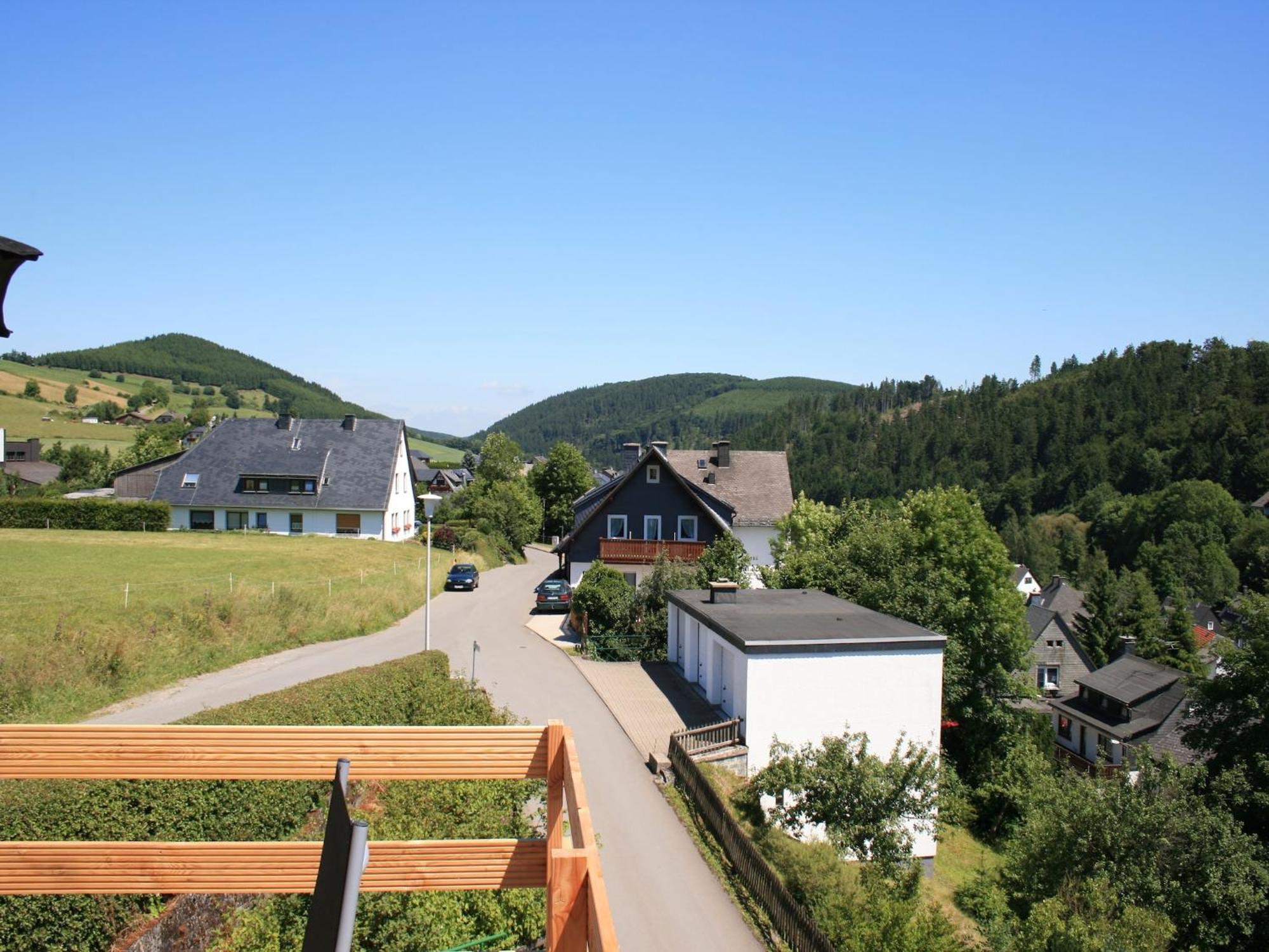 Large Holiday Home In Willingen With Private Garden And Several Terraces 外观 照片