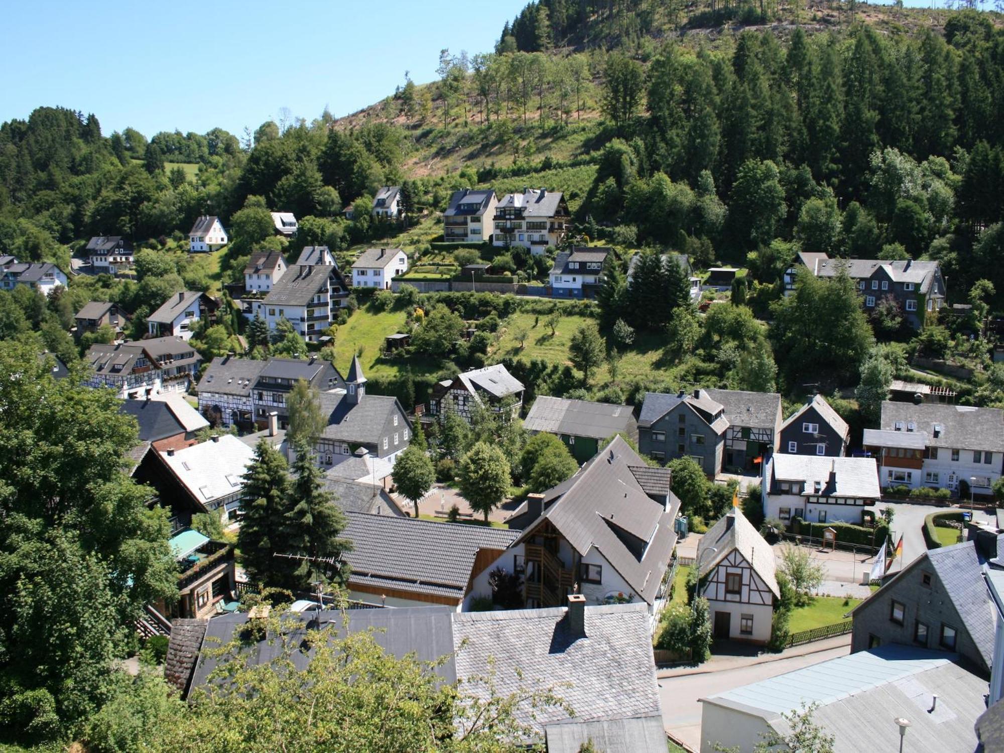 Large Holiday Home In Willingen With Private Garden And Several Terraces 外观 照片