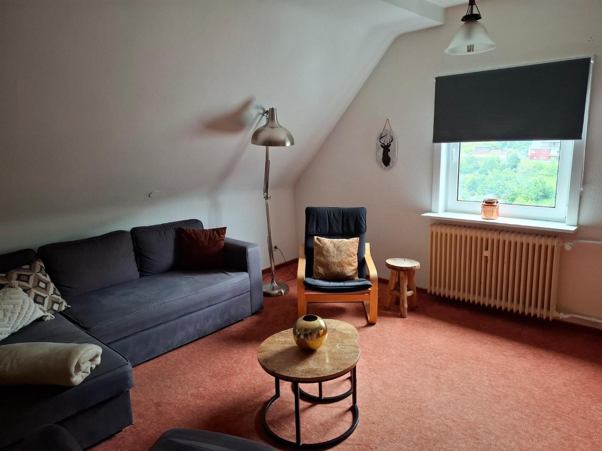 Large Holiday Home In Willingen With Private Garden And Several Terraces 外观 照片